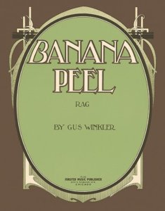 banana Peel Rag
